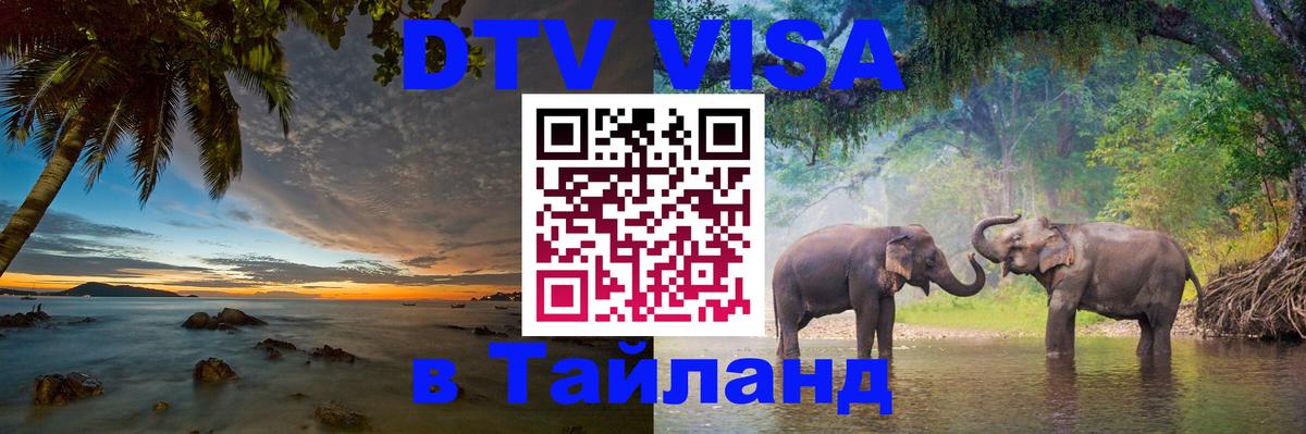 Сколько стоит DTV виза — актуальные цены, оформление даже без документов - 03.10.2025 