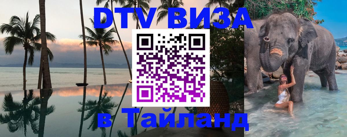 Оформление DTV визы под ключ: стоимость и тарифы, только загранпаспорт - 19.11.2025 
